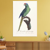 La Perruche - eine Vorfahrt Leinwanddruck (Insitu (Wohnzimmer))