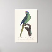 La Perruche - eine Vorfahrt Leinwanddruck (Vorderseite)