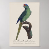 La Perruche - eine Vorfahrt Poster (Vorne)