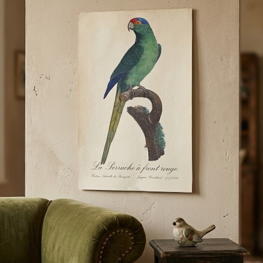 La Perruche - eine Vorfahrt Poster