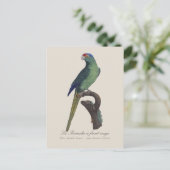 La Perruche - eine Vorfahrt Postkarte (Stehend Vorderseite)