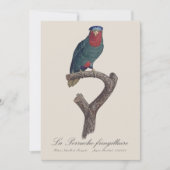La Perruche fringillaire Dankeskarte (Vorderseite)