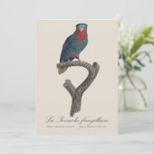 La Perruche fringillaire Dankeskarte (Stehend Vorderseite)