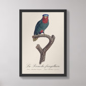 La Perruche fringillaire Fotodruck