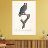 La Perruche fringillaire Leinwanddruck (Insitu (Wohnzimmer))