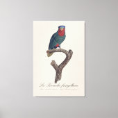 La Perruche fringillaire Leinwanddruck (Vorderseite)