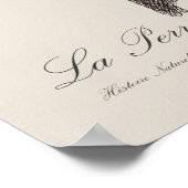 La Perruche fringillaire Poster (Ecke)