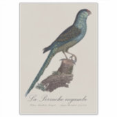 La Perruche ingambe Aufkleber (Vorderseite)