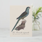 La Perruche ingambe Dankeskarte (Stehend Vorderseite)