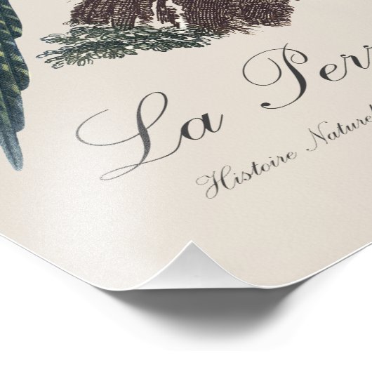 La Perruche ingambe Fotodruck (Ecke)