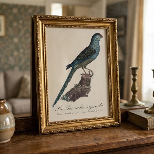 La Perruche ingambe Fotodruck