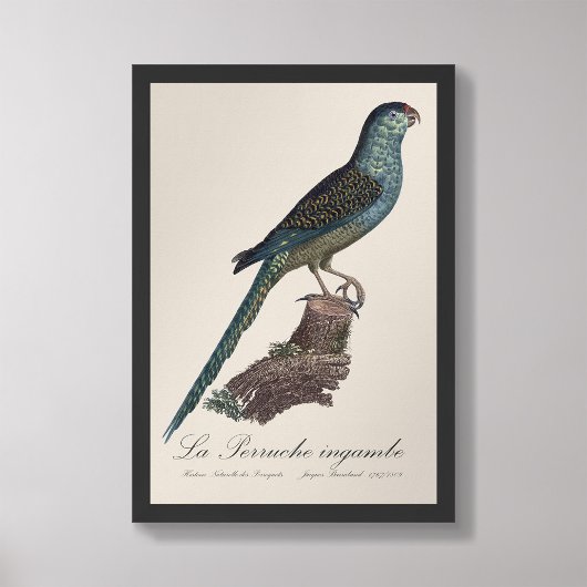 La Perruche ingambe Fotodruck