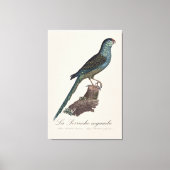 La Perruche ingambe Leinwanddruck (Vorderseite)