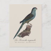 La Perruche ingambe Postkarte (Vorderseite)