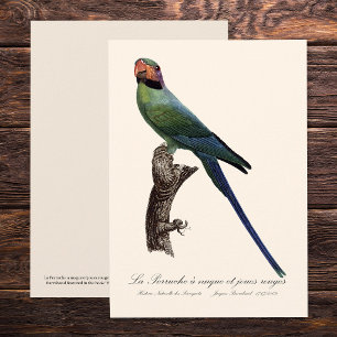 La Perruche ist ein einzigartiger Ort für Joues Dankeskarte