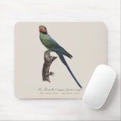 La Perruche ist ein einzigartiger Ort für Joues Mousepad (Mit Mouse)