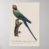 La Perruche ist ein einzigartiger Ort für Joues Poster (Vorne)