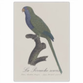 La Perruche souris / Monk Parakeet Aufkleber (Vorderseite)
