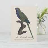 La Perruche souris / Monk Parakeet Dankeskarte (Stehend Vorderseite)