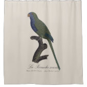 La Perruche souris / Monk Parakeet Duschvorhang (Vorderseite)