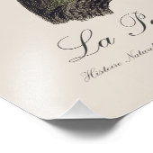 La Perruche souris / Monk Parakeet Fotodruck (Ecke)