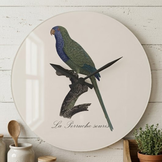 La Perruche souris / Monk Parakeet Große Wanduhr