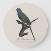 La Perruche souris / Monk Parakeet Große Wanduhr (Vorderseite)