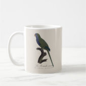 La Perruche souris / Monk Parakeet Kaffeetasse (Links)