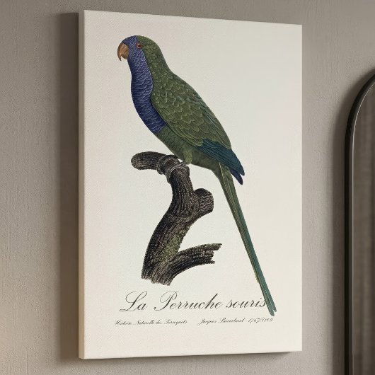 La Perruche souris / Monk Parakeet Leinwanddruck