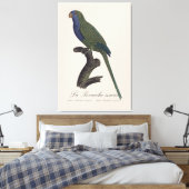 La Perruche souris / Monk Parakeet Leinwanddruck (Insitu (Schlafzimmer))