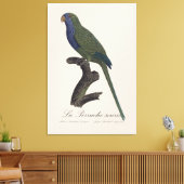 La Perruche souris / Monk Parakeet Leinwanddruck (Insitu (Wohnzimmer))
