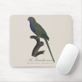 La Perruche souris / Monk Parakeet Mousepad (Mit Mouse)