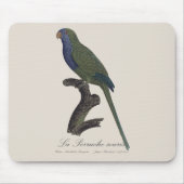 La Perruche souris / Monk Parakeet Mousepad (Vorne)