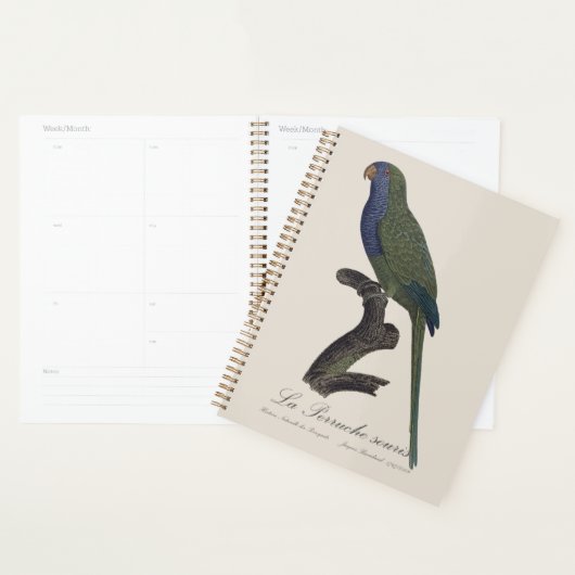 La Perruche souris / Monk Parakeet Planer (Anzeige)