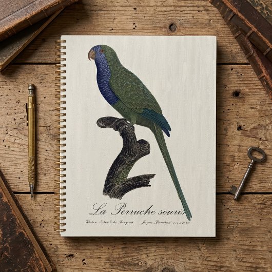 La Perruche souris / Monk Parakeet Planer