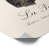 La Perruche souris / Monk Parakeet Poster (Ecke)