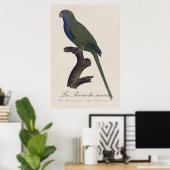 La Perruche souris / Monk Parakeet Poster (Heimbüro)