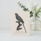 La Perruche souris / Monk Parakeet Postkarte (Stehend Vorderseite)