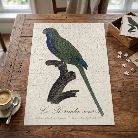La Perruche souris / Monk Parakeet Puzzle