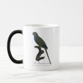 La Perruche souris / Monk Parakeet Verwandlungstasse (Links)