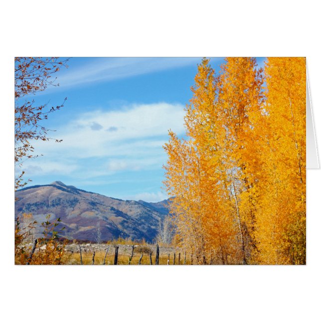 La Platas Herbst (Vorderseite (Horizontal))