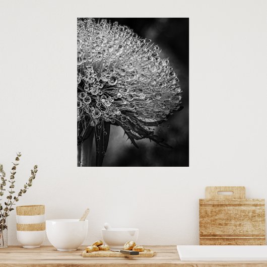 La Pluie Noir - Dandelion Poster (Küche)