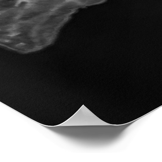 La Pluie Noir - Lily, transparent Poster (Ecke)