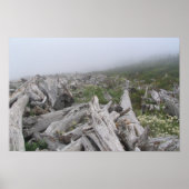 La Push, Pazifikküste - WA Poster (Vorne)