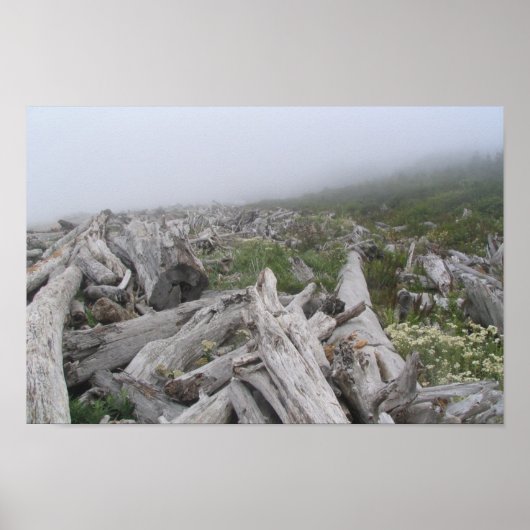 La Push, Pazifikküste - WA Poster (Vorne)