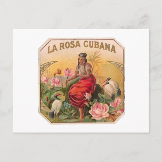 La Rosa Cubana Diseño Vintag Cuba Postkarte (Vorderseite)