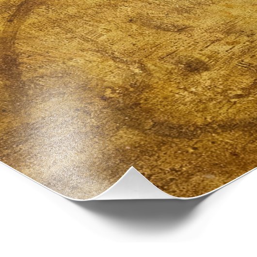 La Scapigliata by Leonardo da Vinci Fotodruck (Ecke)