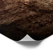 La Scapigliata by Leonardo da Vinci Poster (Ecke)