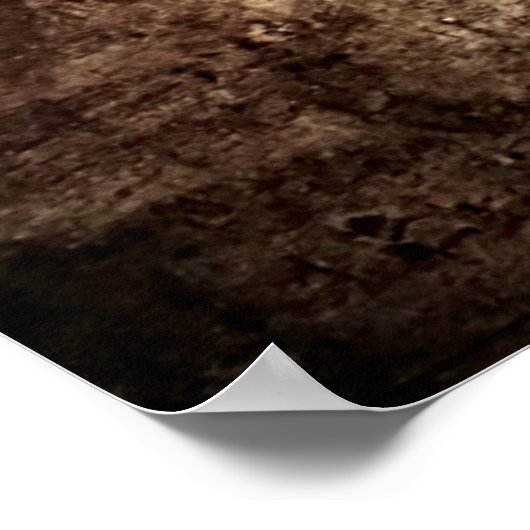 La Scapigliata by Leonardo da Vinci Poster (Ecke)