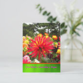 La Tarjeta Postal - Las Dalias Amarillas y Rojas Postkarte (Stehend Vorderseite)